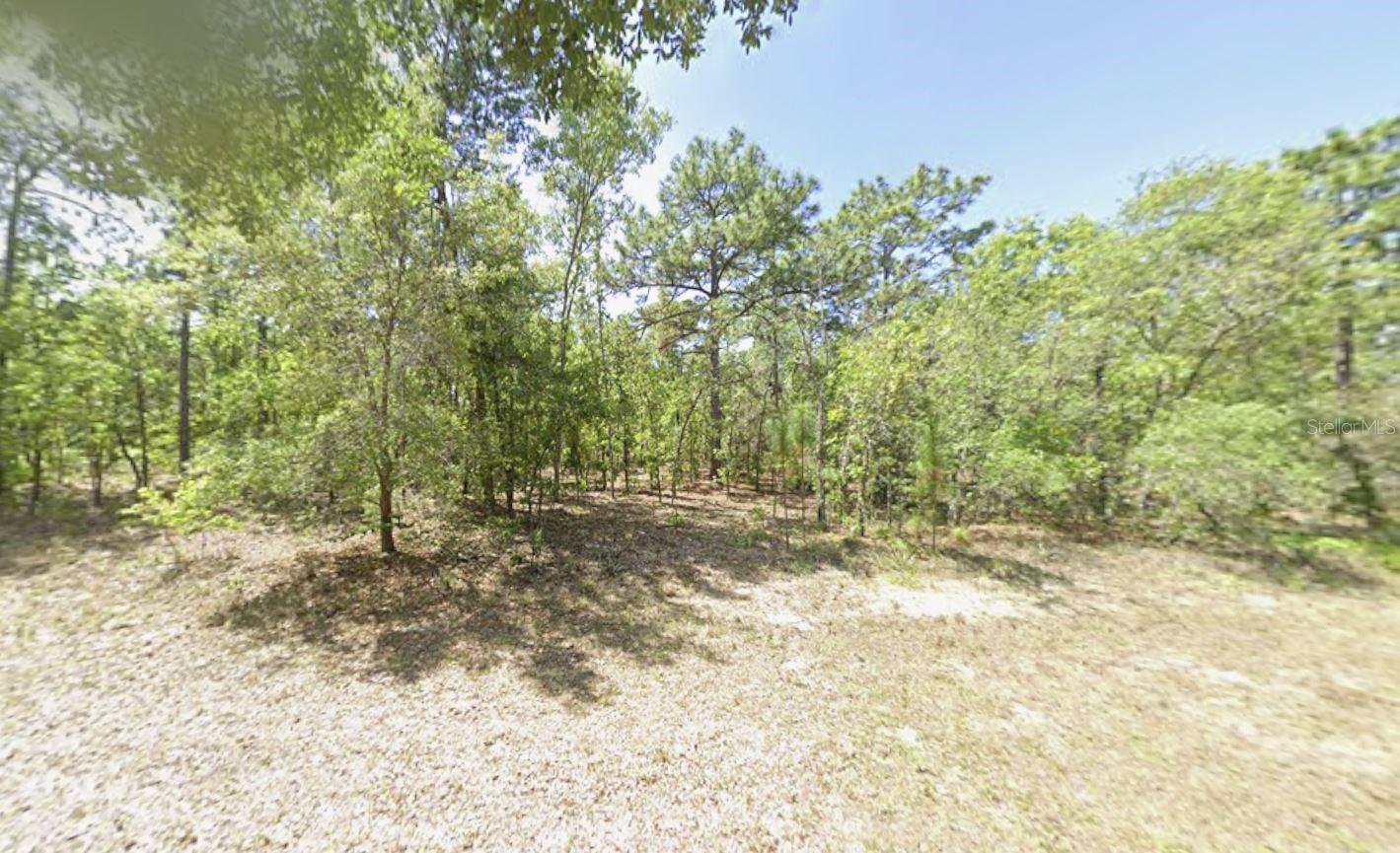 SUGARMILL WOODS OAK VILLAGE - Land