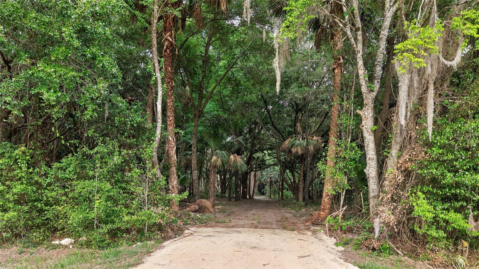 0 N US HWY 301
