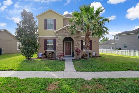 21046 PASSIVE PORCH DRIVE LAND O LAKES FL 34637