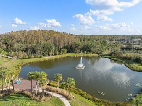 A home in WESLEY CHAPEL