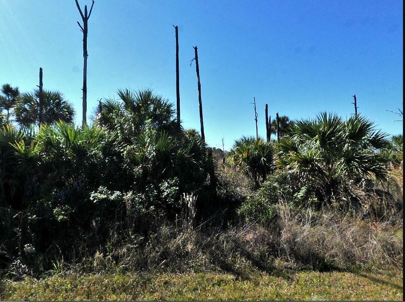 PORT CHARLOTTE SUB 46 - Land