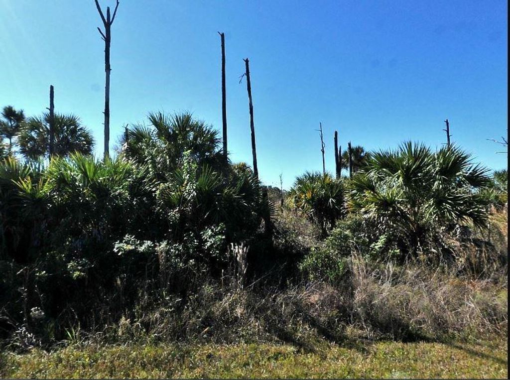 Photo of Ewen Circle, North Port, FL 34288 (MLS # O6188727)