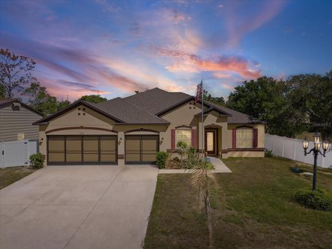 Photo of 13169 Santee Street, Spring Hill, FL 34609 (MLS # W7884931)