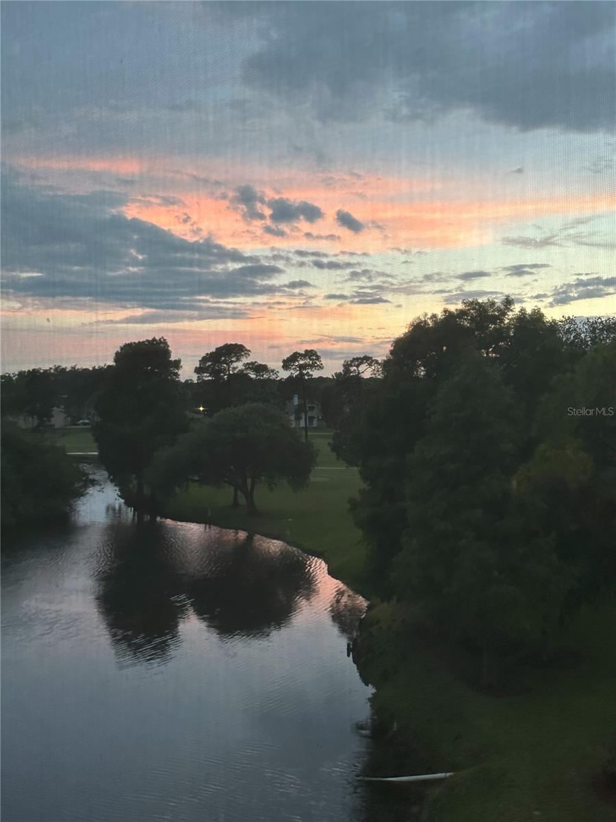 AUDUBON CONDO AT FEATHER SOUND - Residential Lease