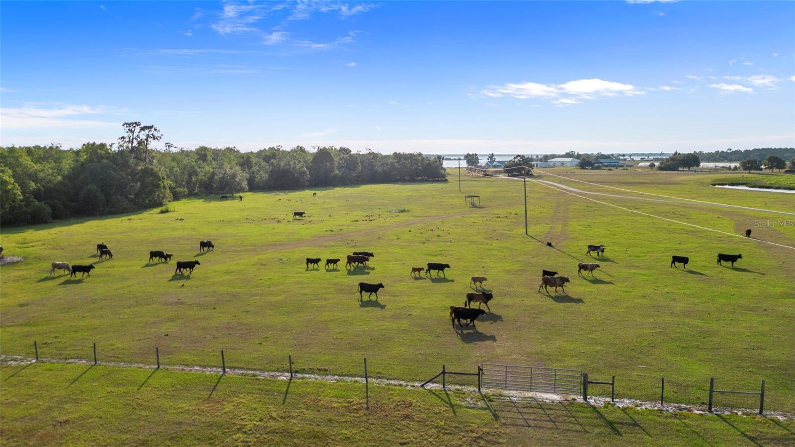 NOT IN SUBDIVISION - Farm