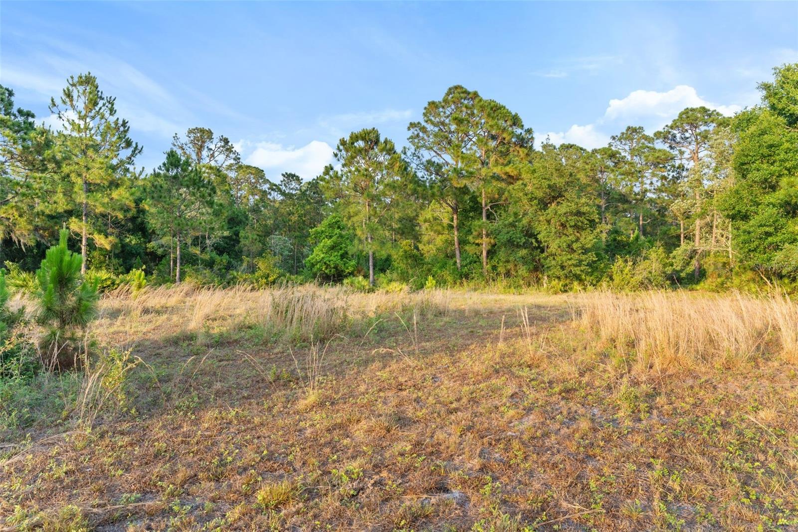 NOT IN SUBDIVISION - Farm