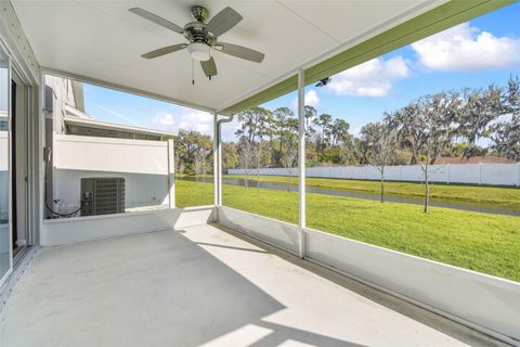 A home in RIVERVIEW