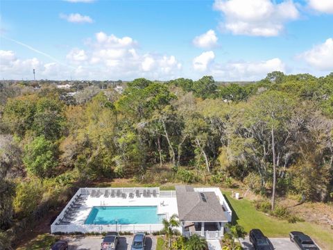 A home in RIVERVIEW