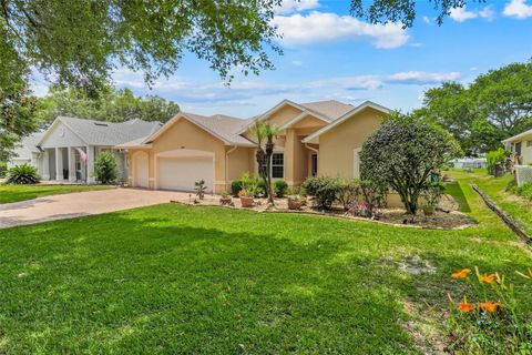 Tiny photo for 16741 Tall Grass Lane, Clermont, FL 34711 (MLS # G5112133)