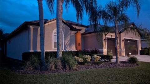 A home in WESLEY CHAPEL