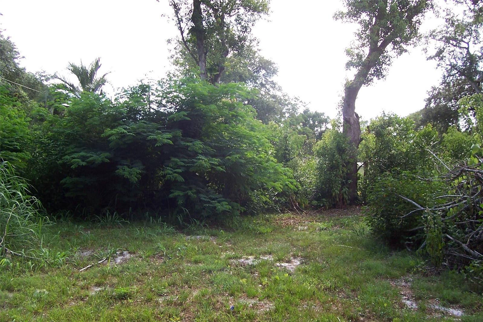 ROSENWALD GARDENS PT REP SUB - Land