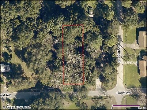 GRANT AVENUE EUSTIS FL 32726