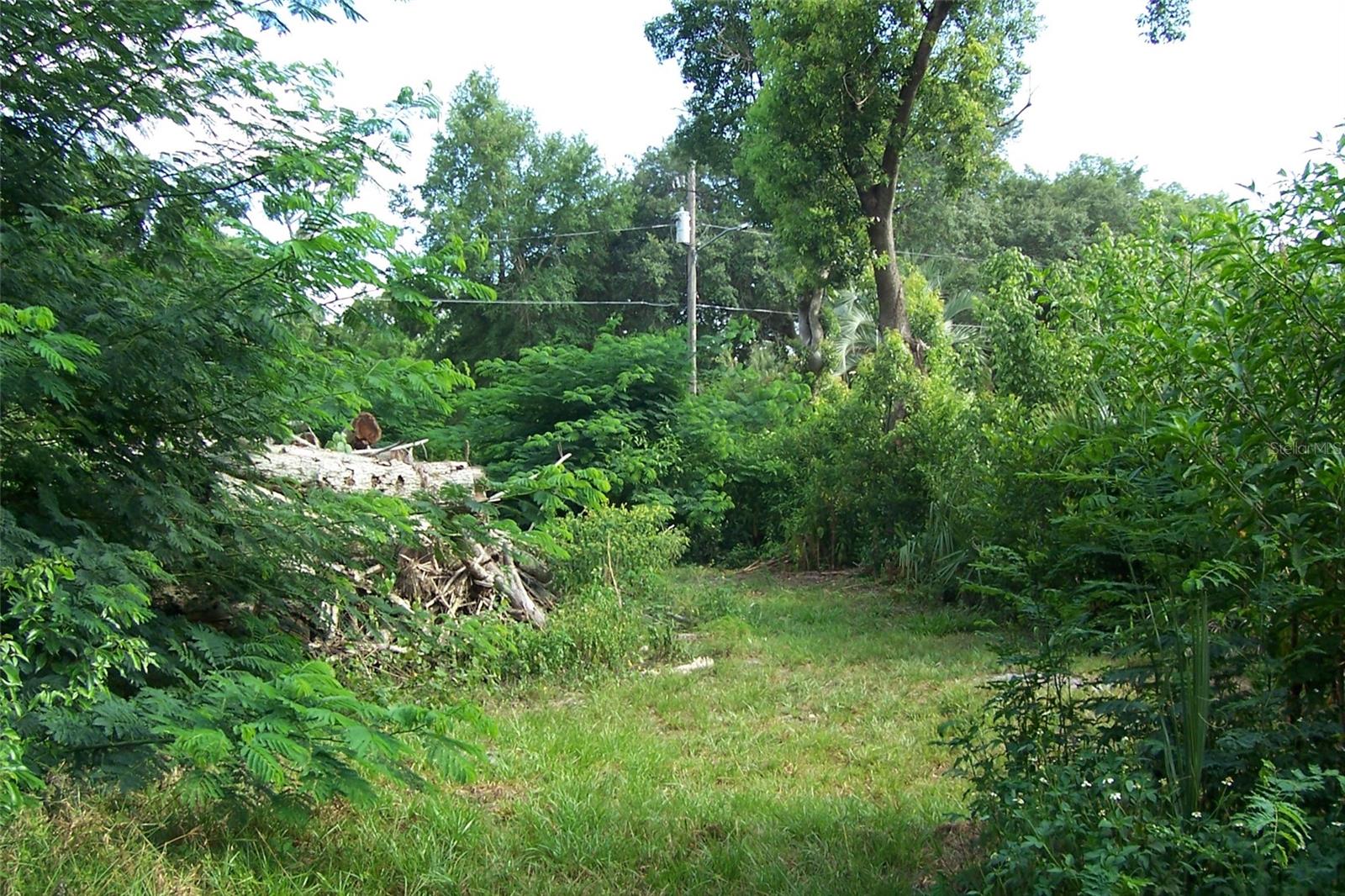 GRANT AVENUE