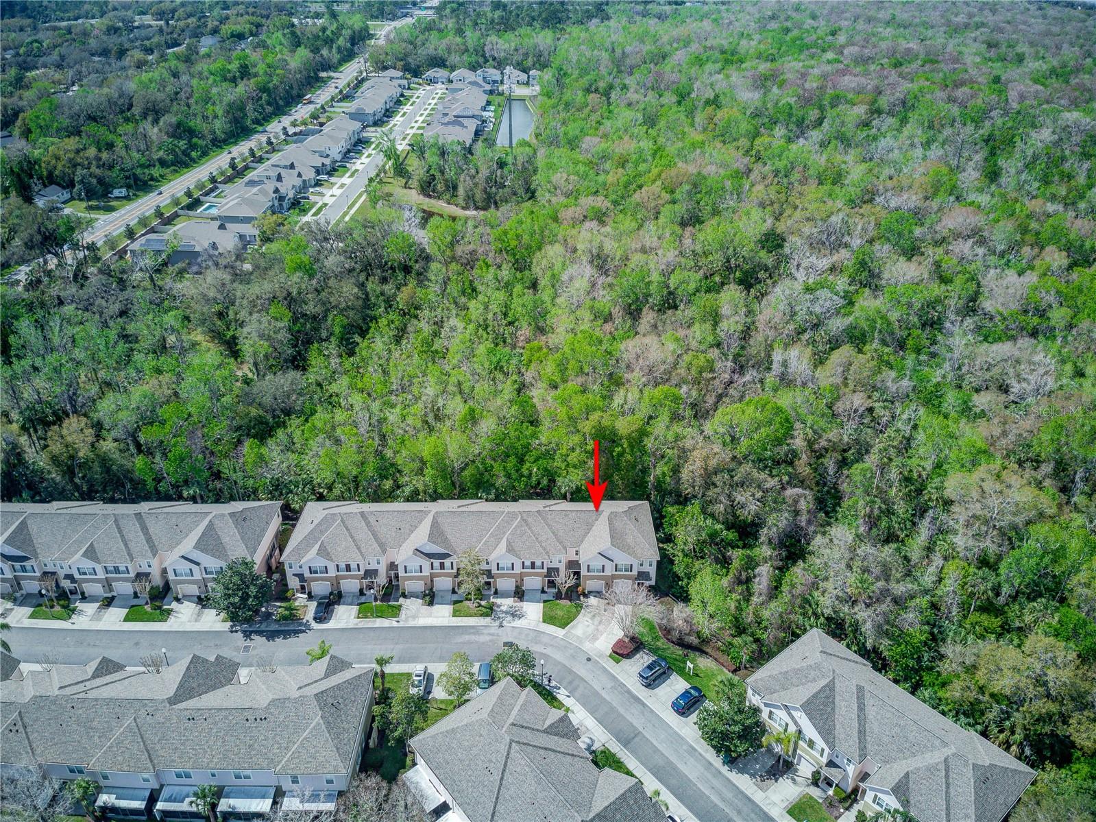 558 PINEBRANCH CIRCLE