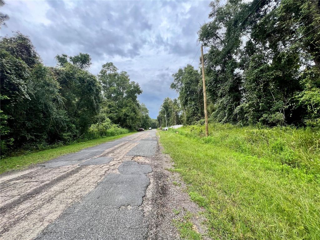 Photo of 303 W Eridani Court, Citrus Springs, FL 34434 (MLS # C7515181)