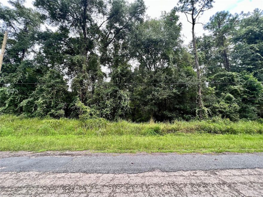 A spacious piece of land in Citrus Spring, Florida. Perfect for building your dream home or as an investment. The lot is in a quiet neighborhood, close to local amenities, schools, and parks. Enjoy the sunny Florida weather and a relaxed lifestyle.