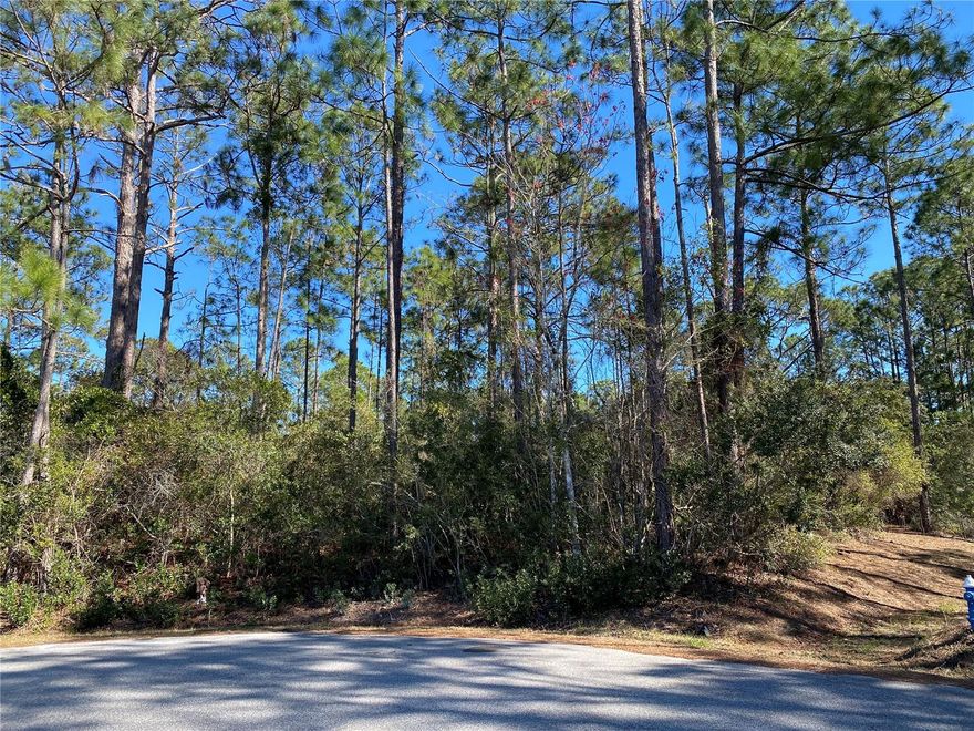 Don't miss this wooded lot on a cul-de-sac in fast growing Quail Hollow section of Palm Coast.  Close to shopping, schools, beaches, trails and other amenities, this is an excellent location for your future Florida home.  Property is adjacent to city-owned land zoned as a greenbelt.  There is no HOA or timeline to build.  This property can be purchased to build now or to hold for investment.  Drive by and take a look!