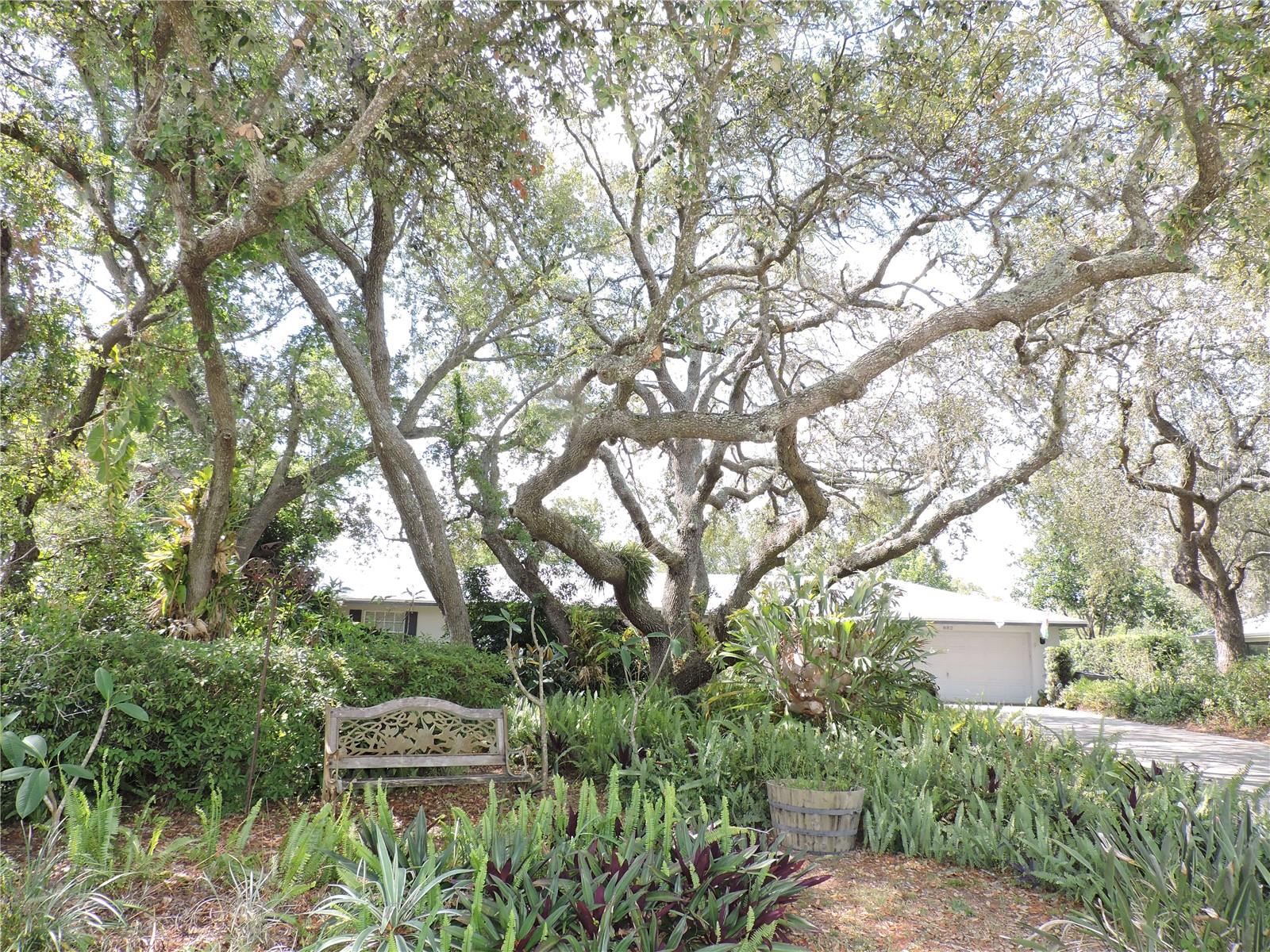 882 REDWOOD WAY