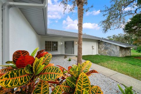 A home in SPRING HILL