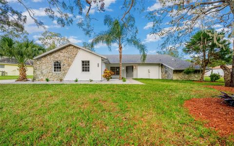 A home in SPRING HILL