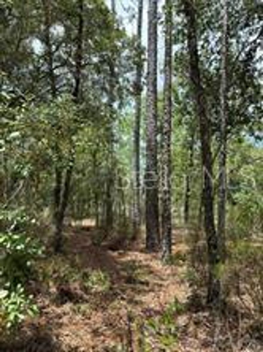 1.25 acres on dirt road reqady for your next investment or personal build. Well priced for over an acre. Not in a flood zone and zoned r1. Need a builder we have you covered. Call for details!