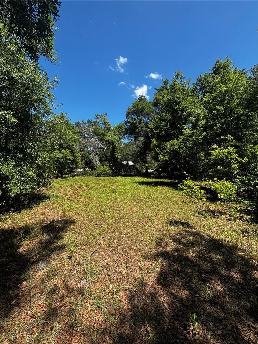 Photo of 7027 Charles Humphrey Road, Plant City, FL 33565 (MLS # L4961181)