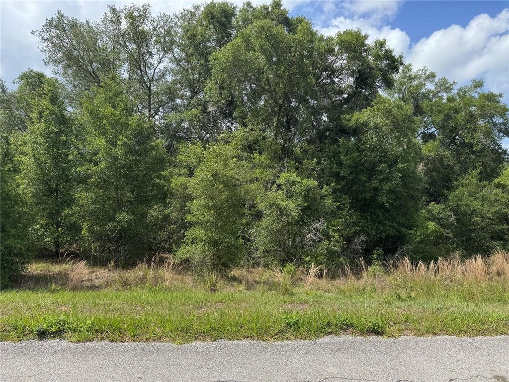 Photo of Tbd Keene Road, Altoona, FL 32702 (MLS # G5112513)