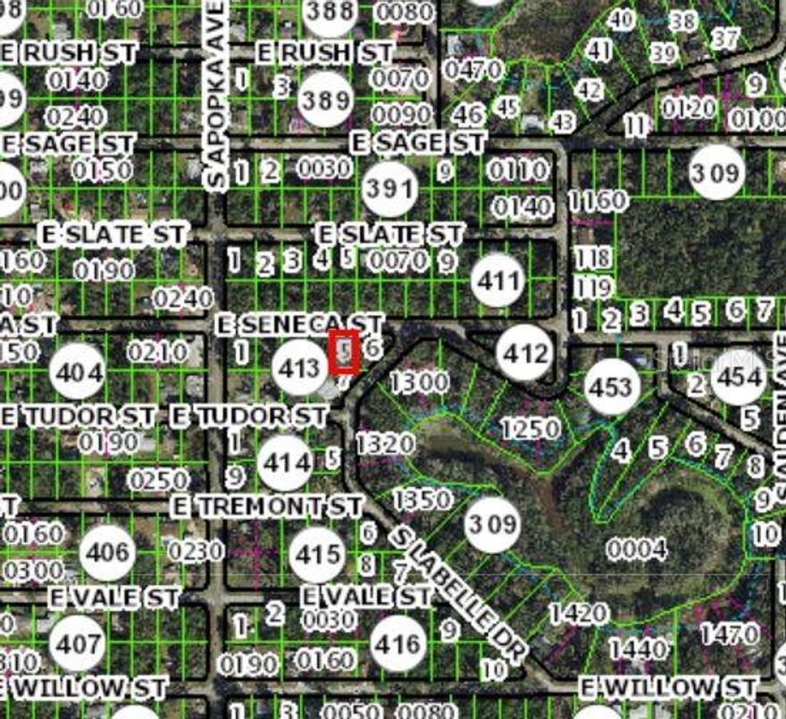 Seller will consider all offers! Don’t miss this opportunity to own a vacant lot in the sought-after Inverness Highlands West area of Inverness. This property offers the perfect setting to design and build your ideal home in a peaceful, established neighborhood. Enjoy the freedom of no HOA, giving you flexibility to build at your own pace and bring your vision to life. The lot provides ample space for a custom home, outdoor living, and more. Located in a convenient yet quiet area, you’re just minutes from shopping, dining, medical facilities, and outdoor recreation, including the scenic Withlacoochee State Trail. Whether you're planning a primary residence, seasonal retreat, or investment property, this lot is a great opportunity in a growing area. Well and septic required (no public water or sewer). No HOA!