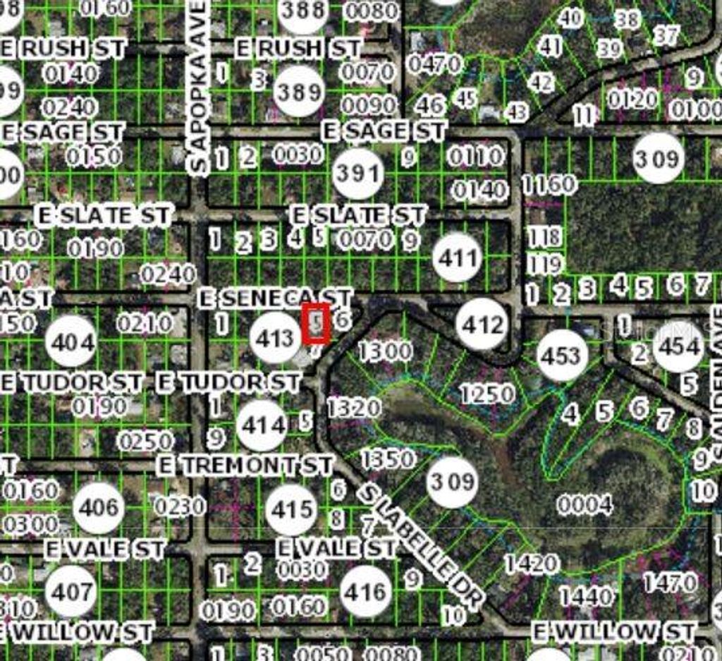 Photo of 6376 E Seneca Street, Inverness, FL 34452 (MLS # OM723260)