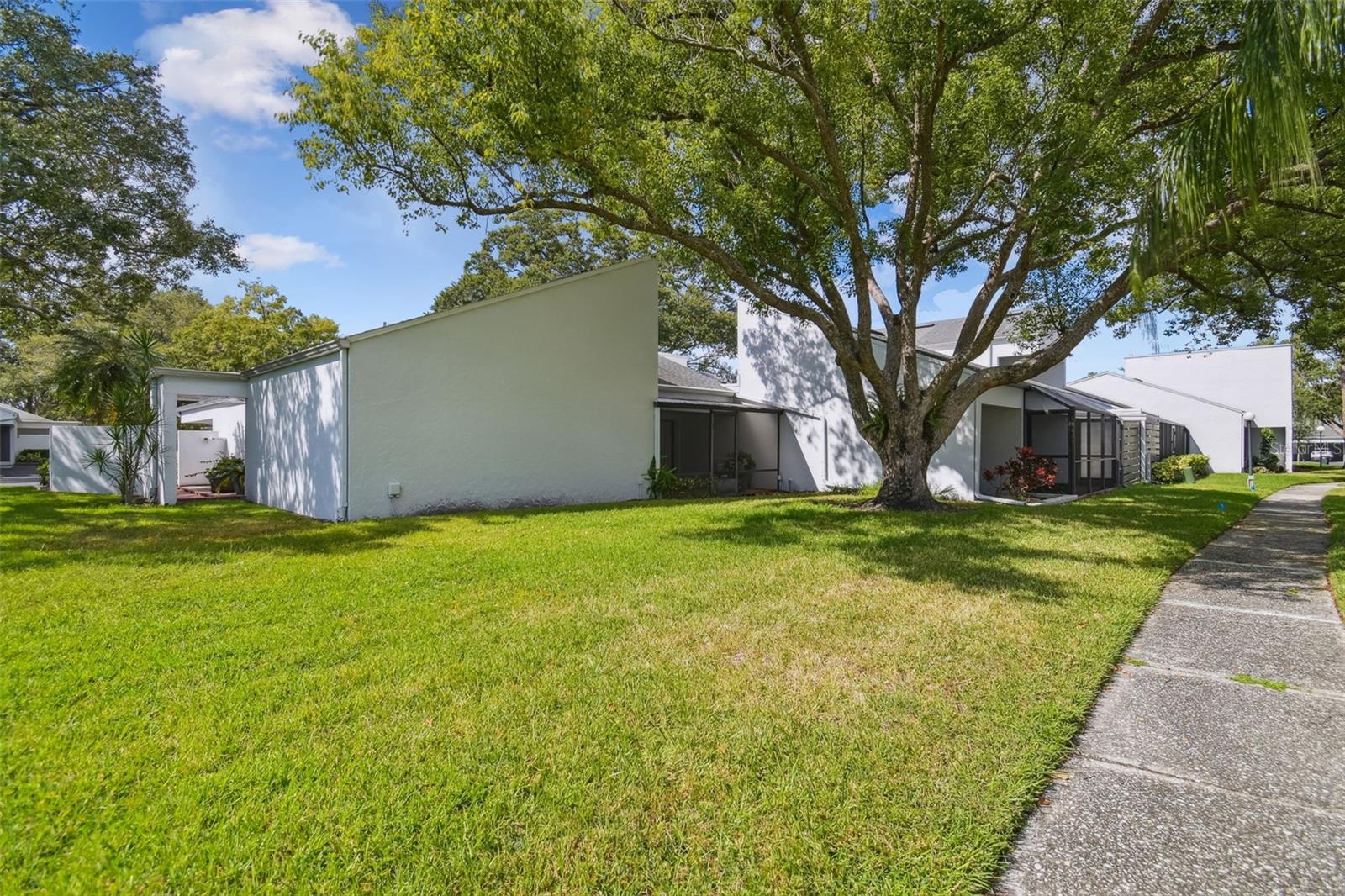 CARROLLWOOD VILLAGE NORTHMEADOW CLUSTER HOUSES - Residential