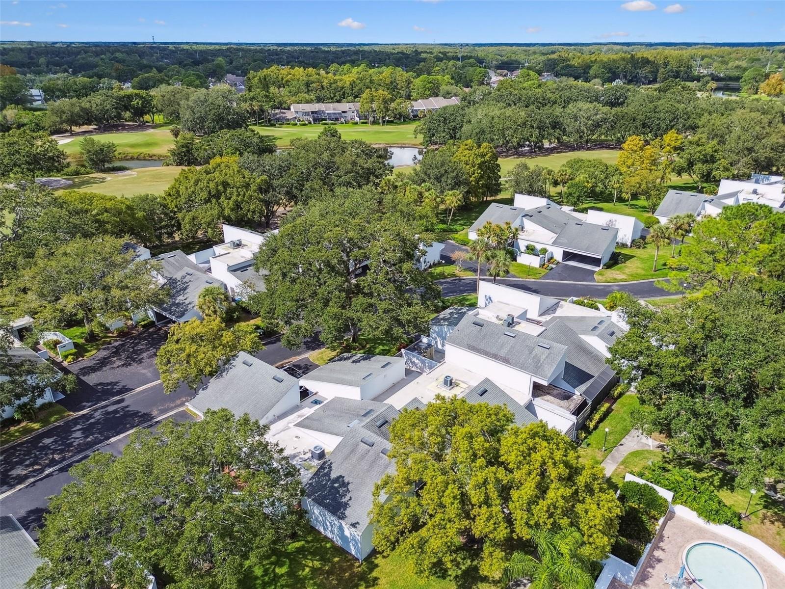 CARROLLWOOD VILLAGE NORTHMEADOW CLUSTER HOUSES - Residential