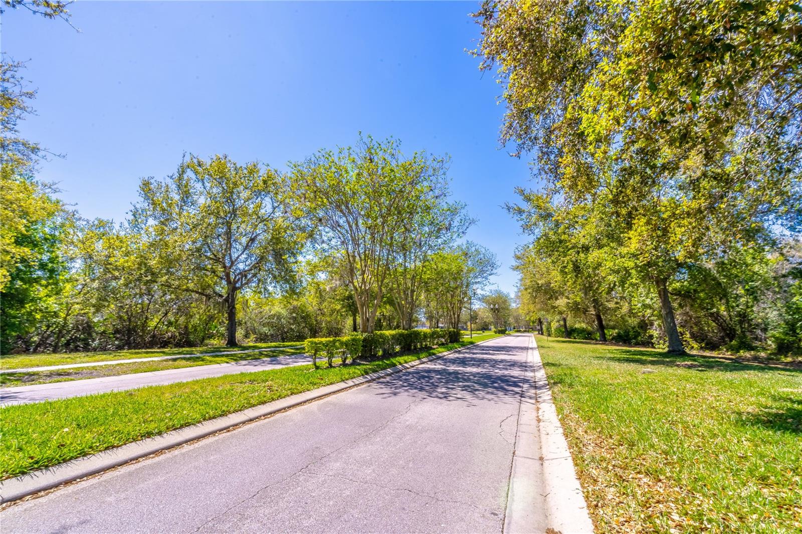 CYPRESS PRESERVE - Residential