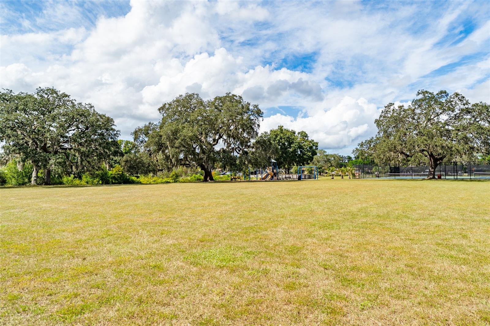 NEW TRIAD TOWNHOMES OF CARROLLWOOD - Residential