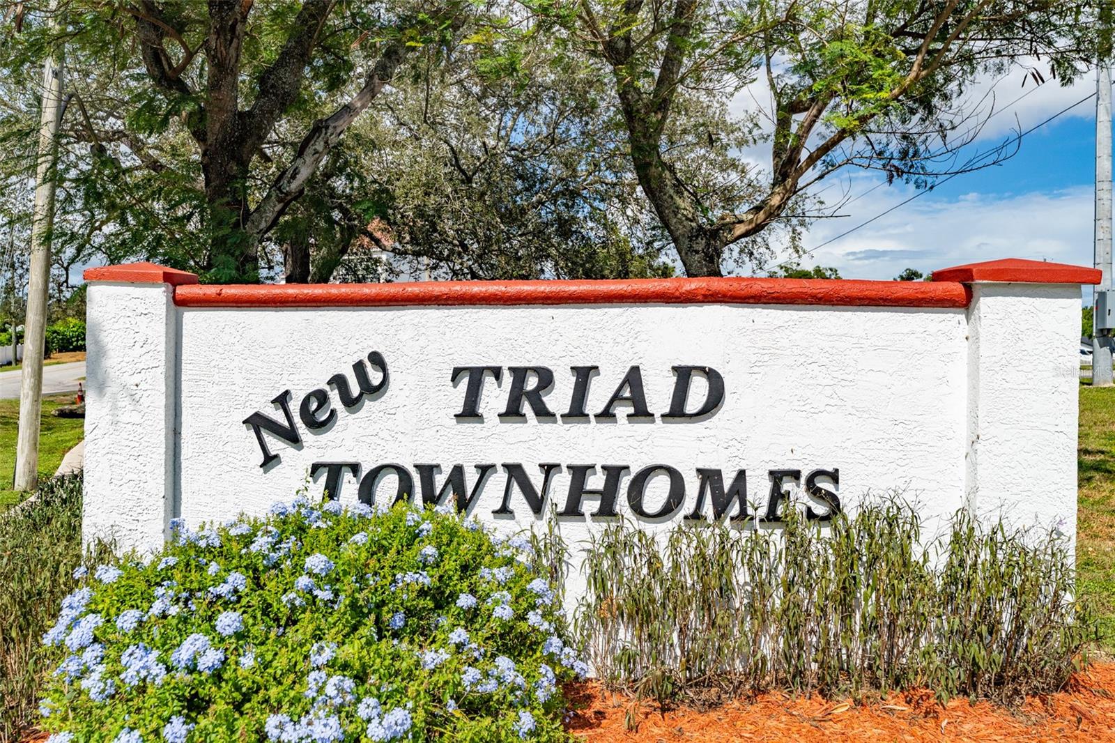 NEW TRIAD TOWNHOMES OF CARROLLWOOD - Residential