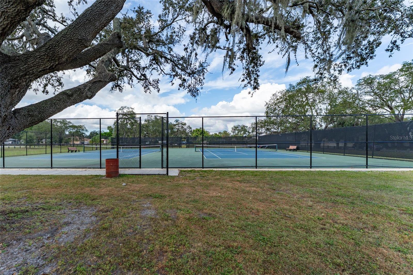 NEW TRIAD TOWNHOMES OF CARROLLWOOD - Residential