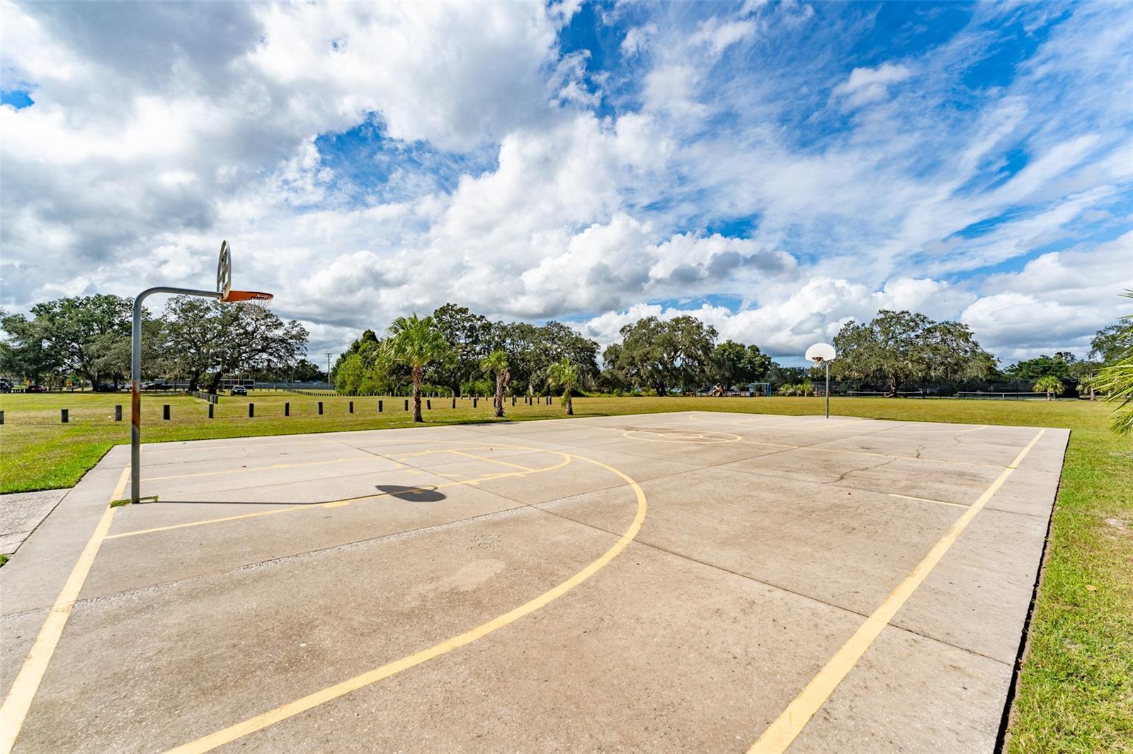 NEW TRIAD TOWNHOMES OF CARROLLWOOD - Residential