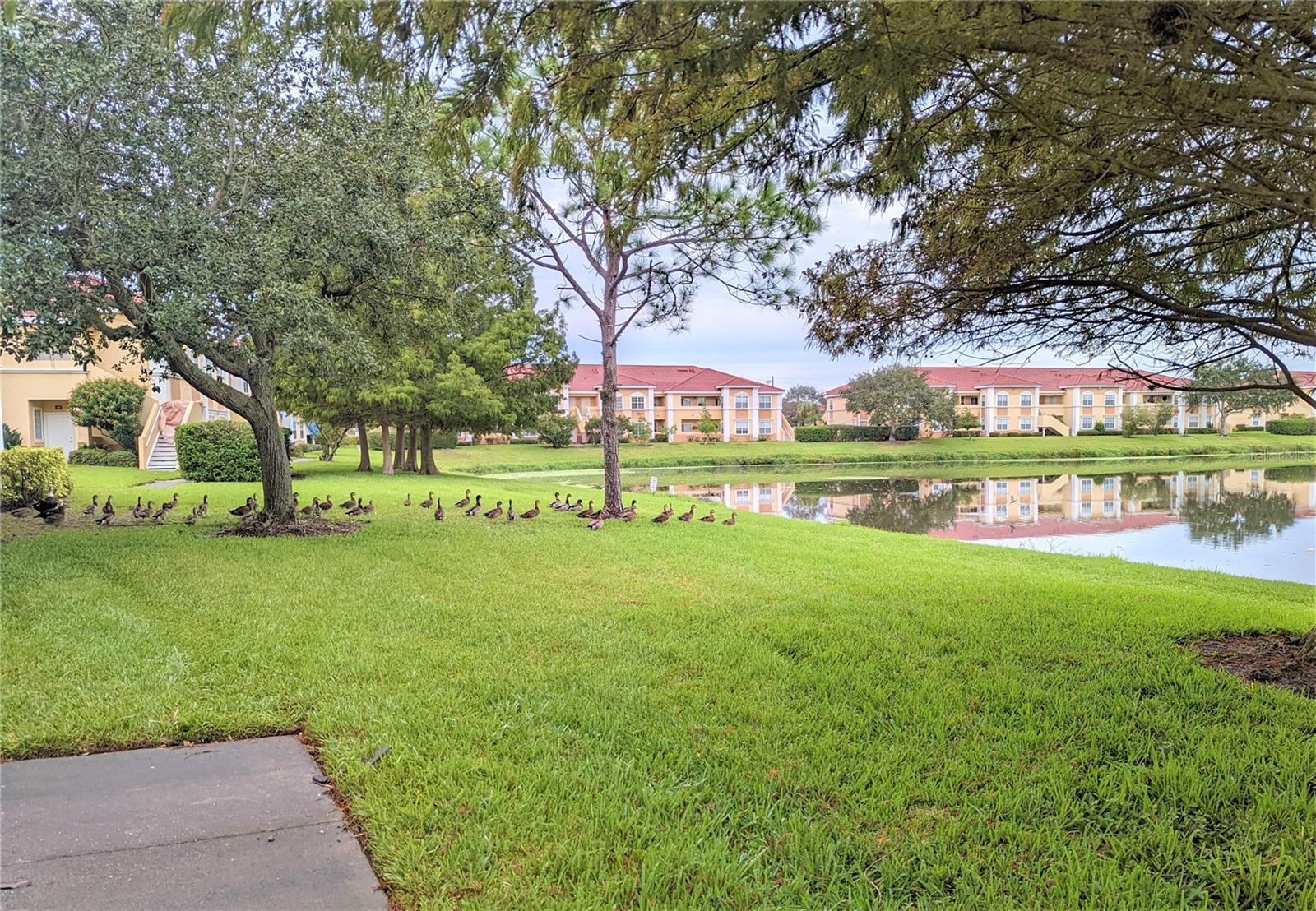 VILLAGIO - Residential