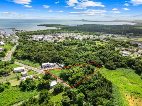 Carr. 982 Km 0.3 BO. DEMAJAGUA FAJARDO 00738