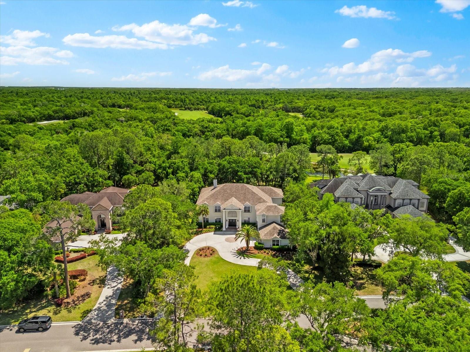 TAMPA PALMS 4A UNIT 2B4 - Residential