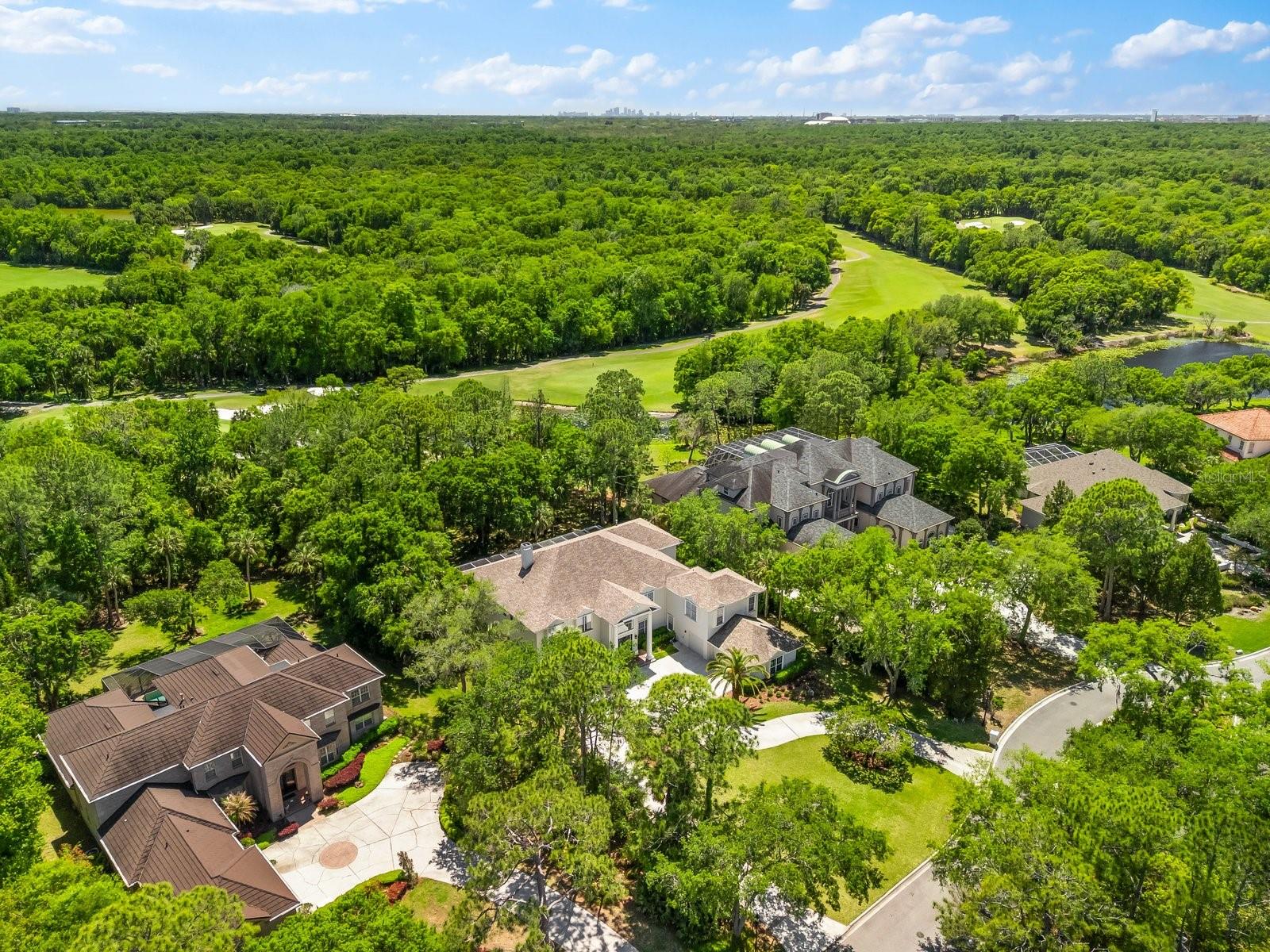 TAMPA PALMS 4A UNIT 2B4 - Residential