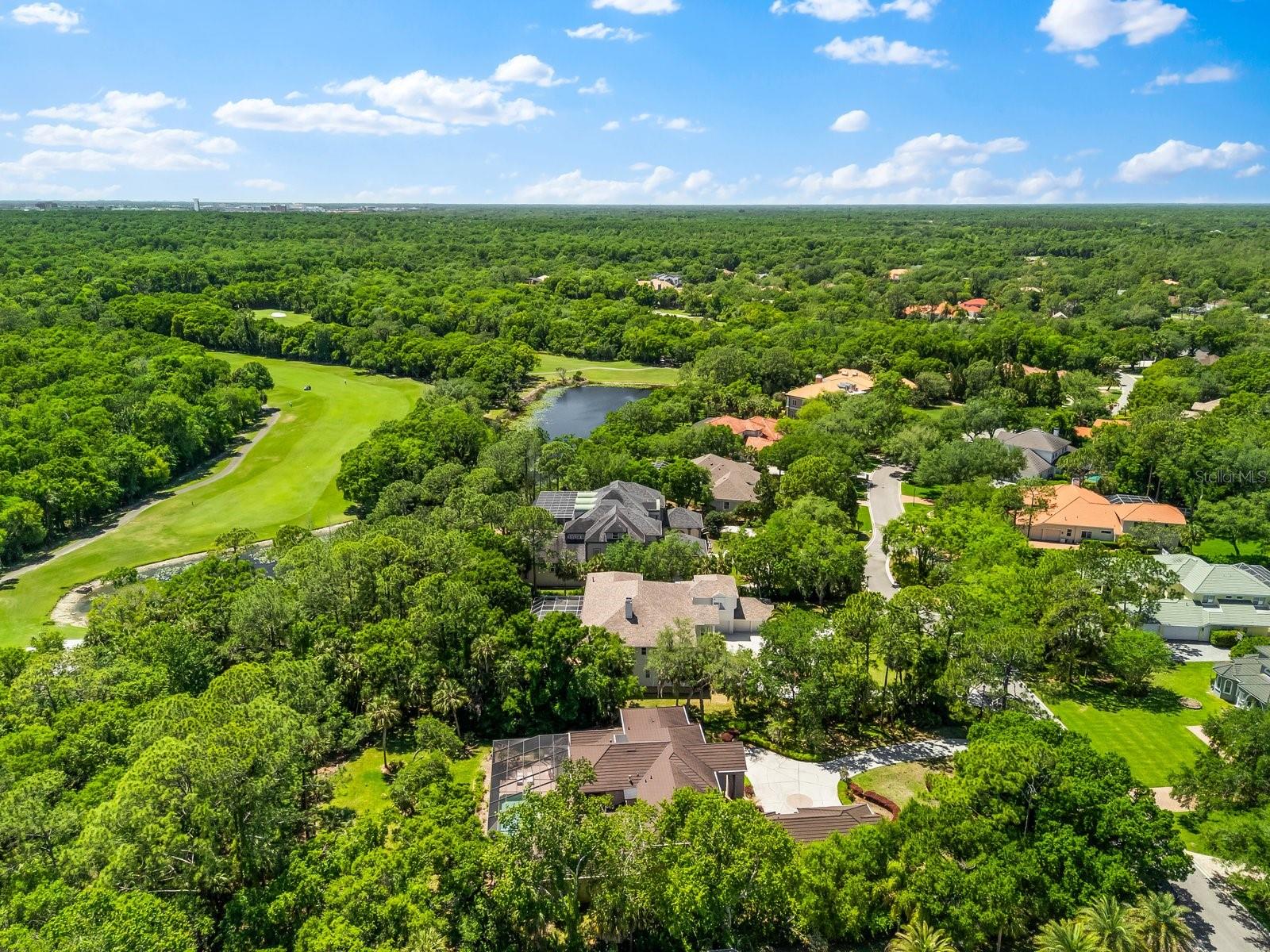 TAMPA PALMS 4A UNIT 2B4 - Residential