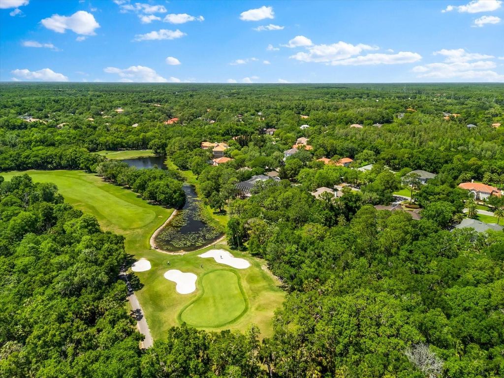 Photo of 6413 Maclaurin Drive, Tampa, FL 33647 (MLS # TB8481237)