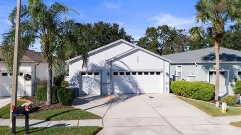 Photo of 20907 Tangor Road, Land O Lakes, FL 34637 (MLS # TB8462037)