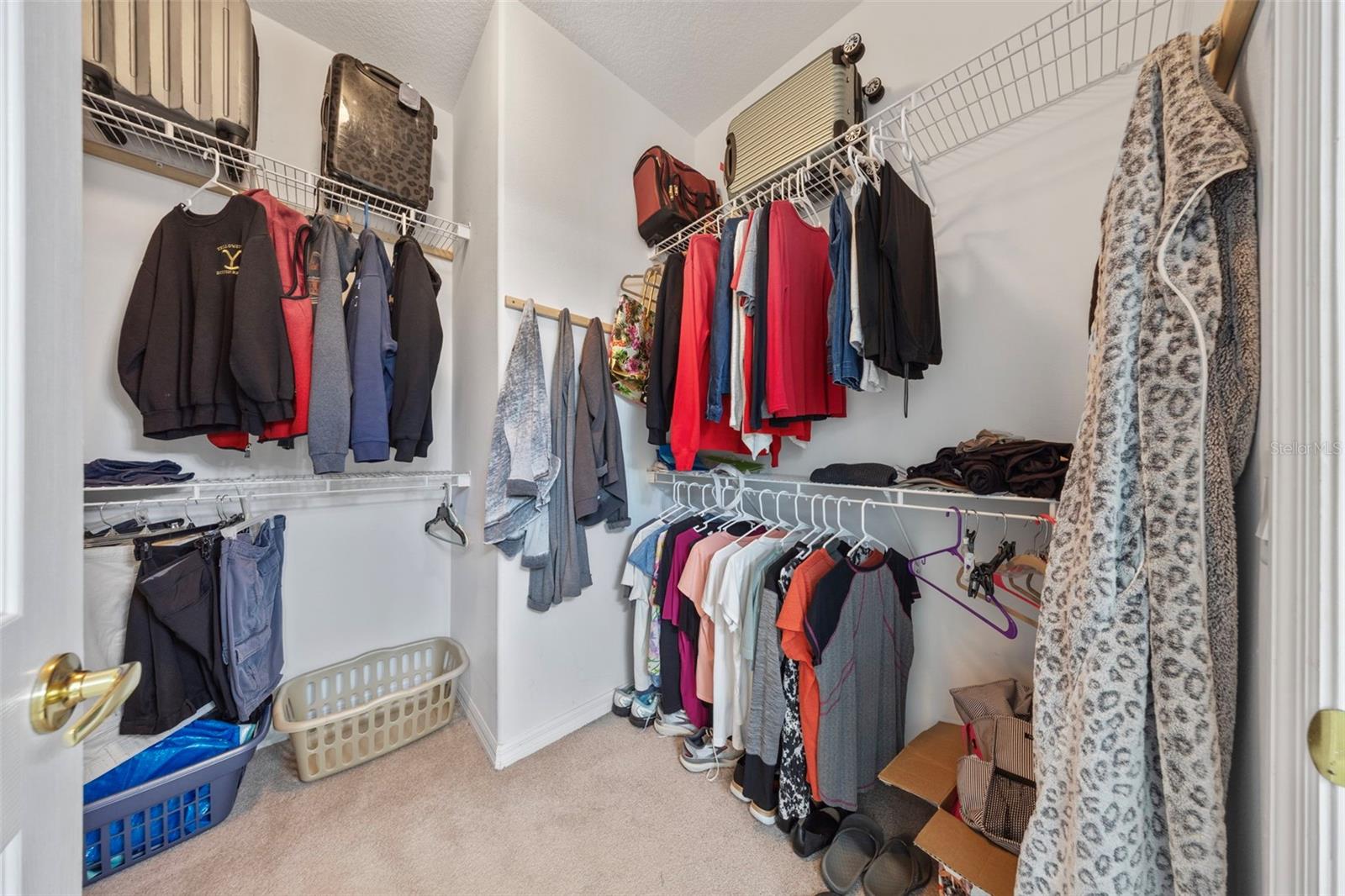 GROVES PH 01A - Residential