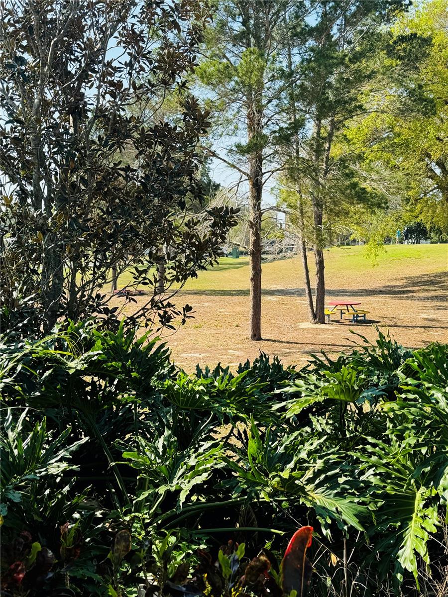 DEER CRK GOLF & TENNIS RV RESIDENCE - Land