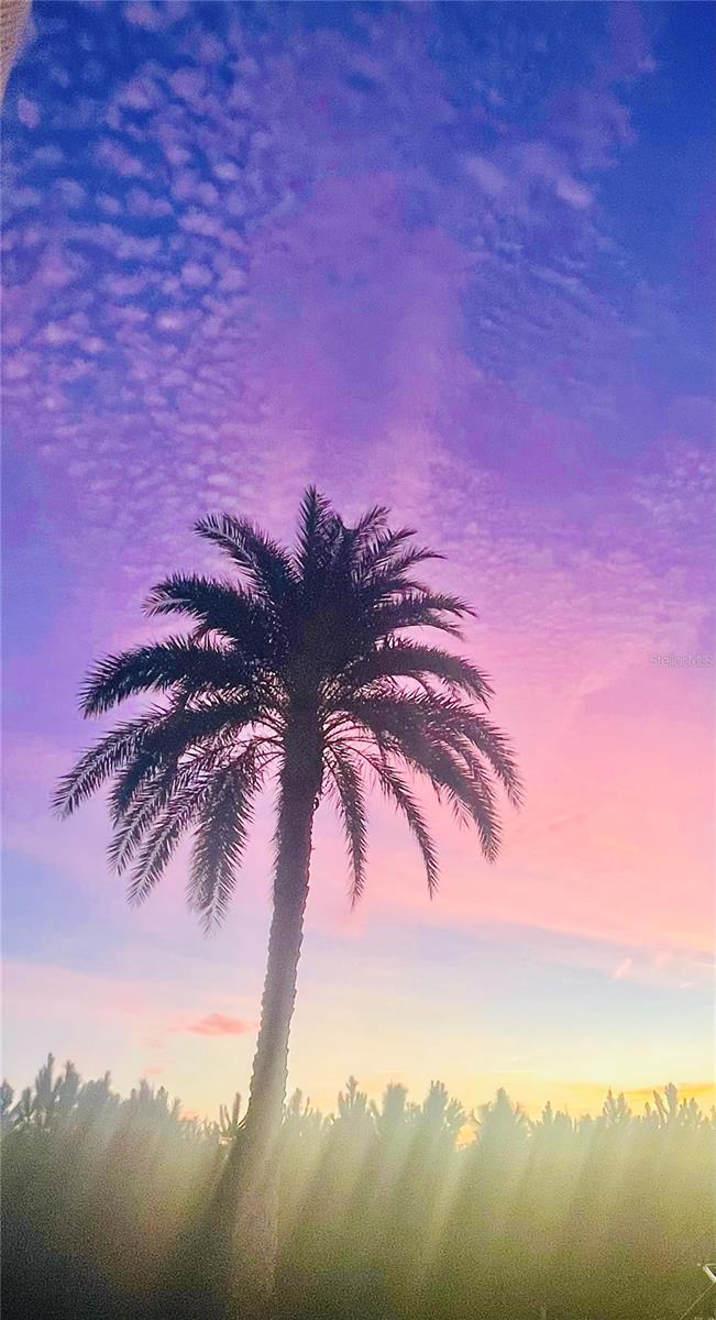 DEER CRK GOLF & TENNIS RV RESIDENCE - Land