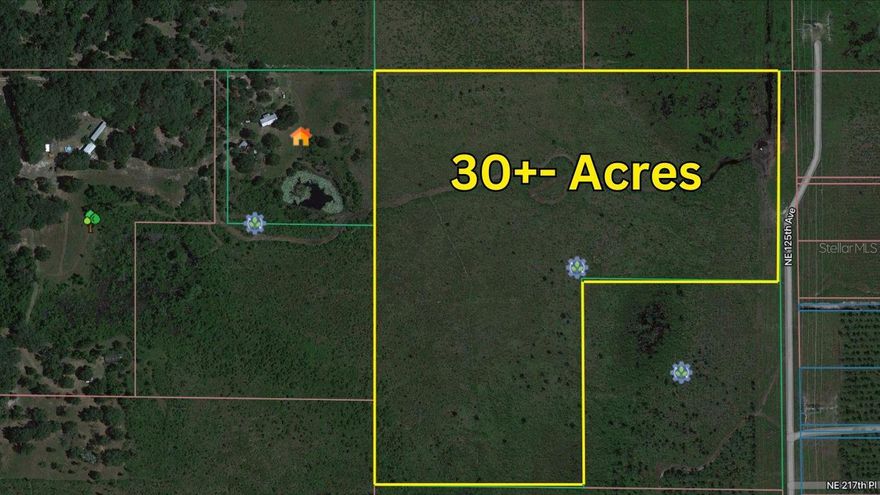 Zoned A-1 (Agricultural) tract of undeveloped vacant land, 30+- Acres with Electric nearby but well/septic needed. All measurements are approximate and should be verified by the buyer.