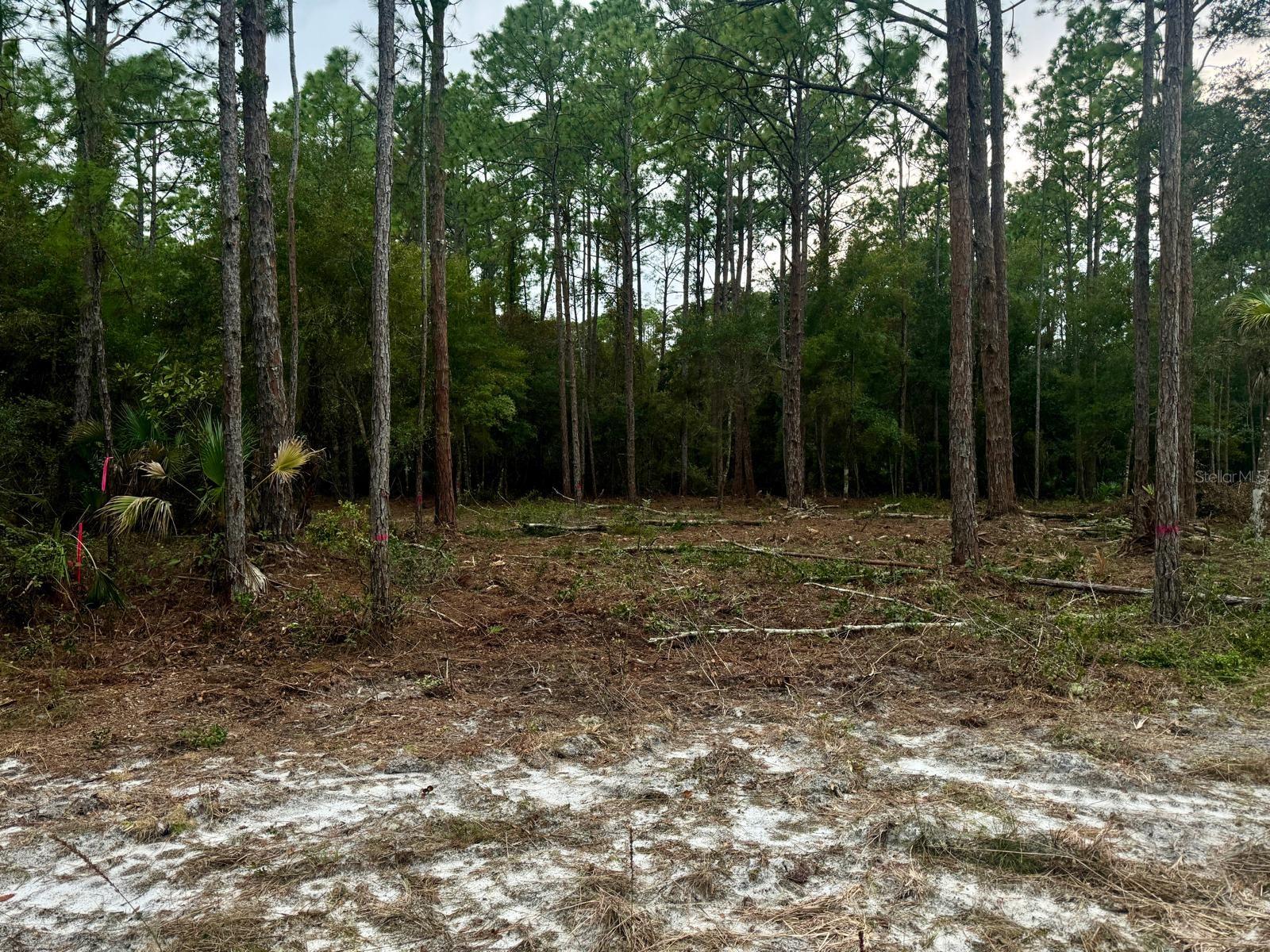 LAKE GEORGE MANOR - Land