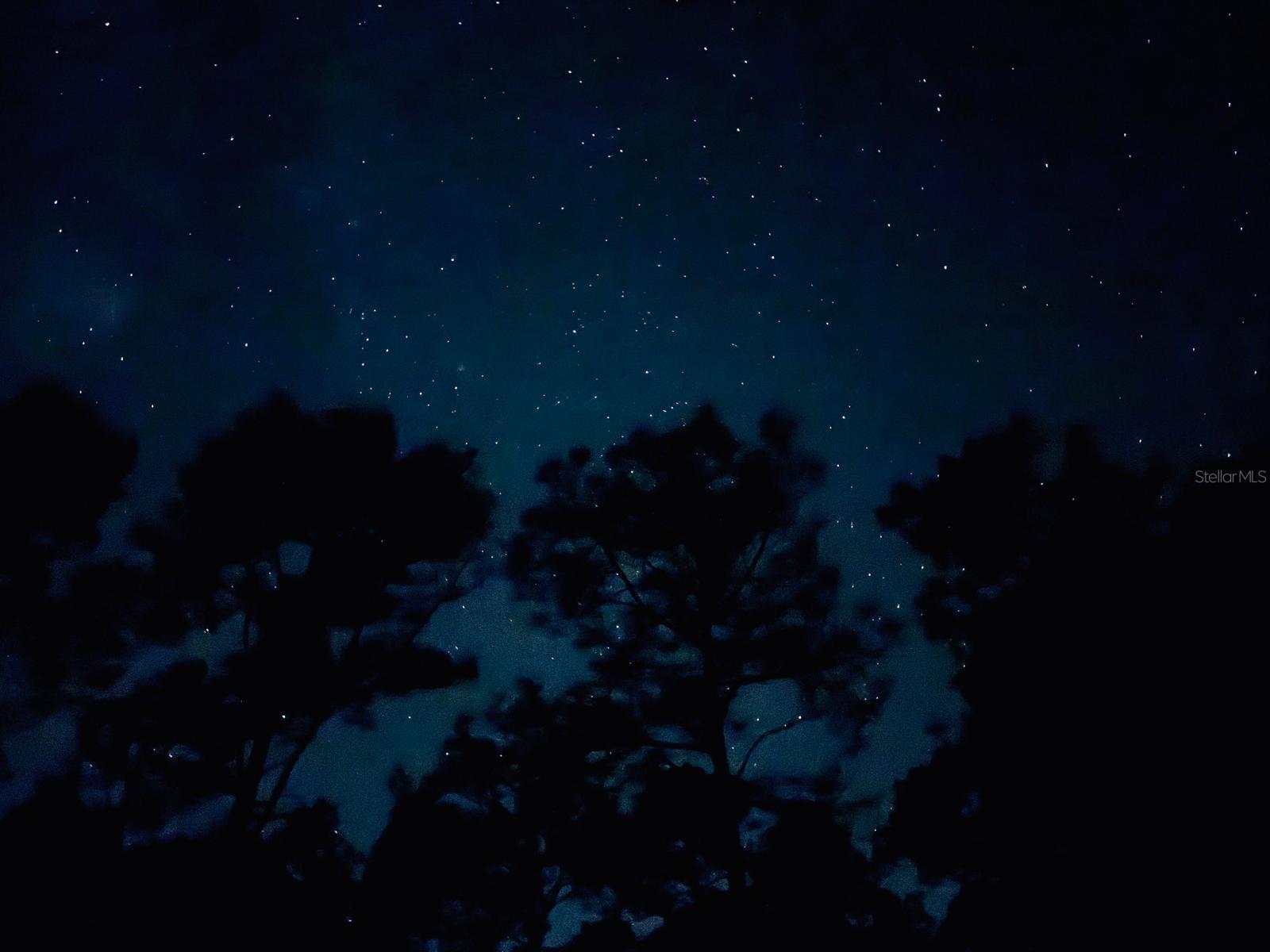 LAKE GEORGE MANOR - Land