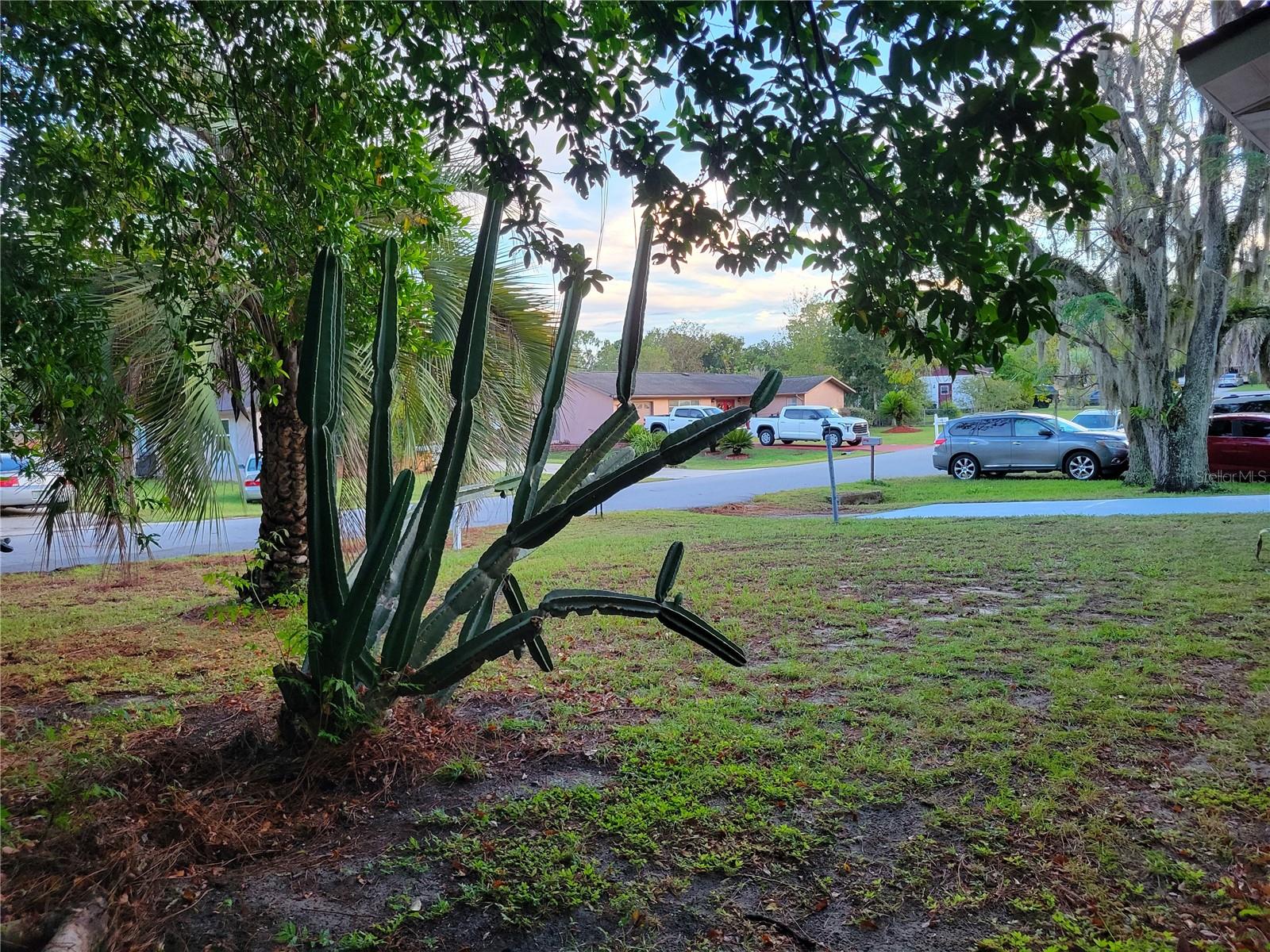 SILVER SPGS SHORES UN 48 - Residential